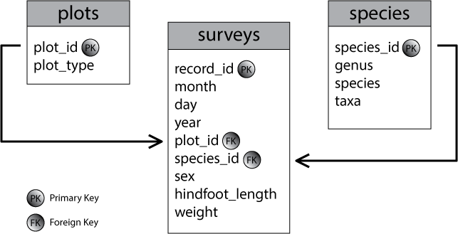 Visual representation of the schema for the database we will be working with.